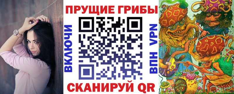 kraken как зайти  Белорецк  Псилоцибиновые грибы мухоморы 